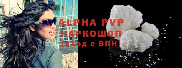 СК Инта