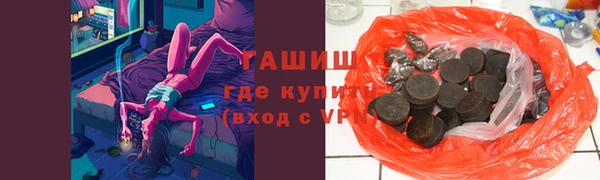 СК Инта