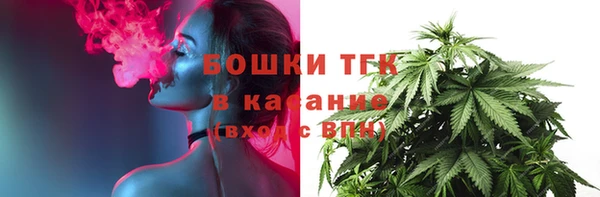 крисы Инсар