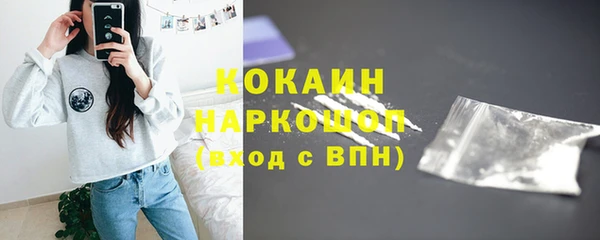 СК Инта