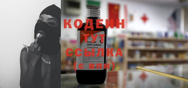 крисы Инсар
