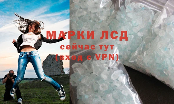 СК Инта