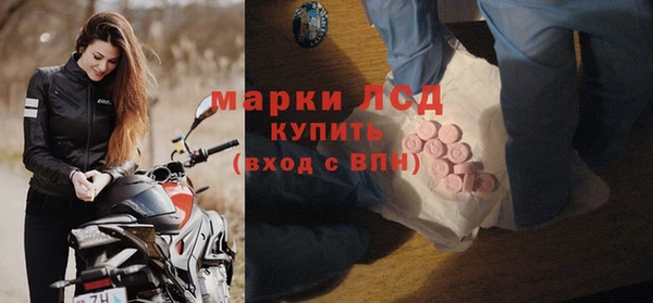 СК Инта