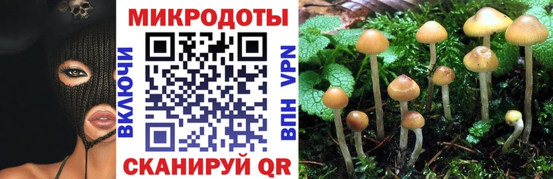 Галлюциногенные грибы мухоморы  Камешково 